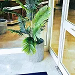 Hotel Palace Masoanri's 3*